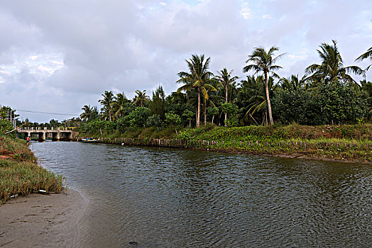 海南的小河椰林和小渔船
