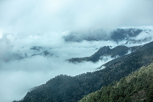 神农架,神农顶,风景,景点,旅游,高山,瀑布,河流,神秘,树木,植被,石头,鄂西,云海,峡谷,壮观