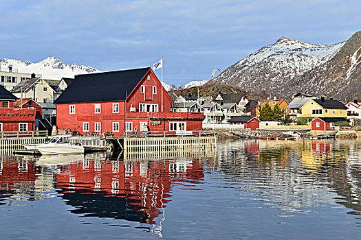 房子,港口,山,后面,岛屿,罗弗敦群岛,诺尔兰郡,挪威,欧洲