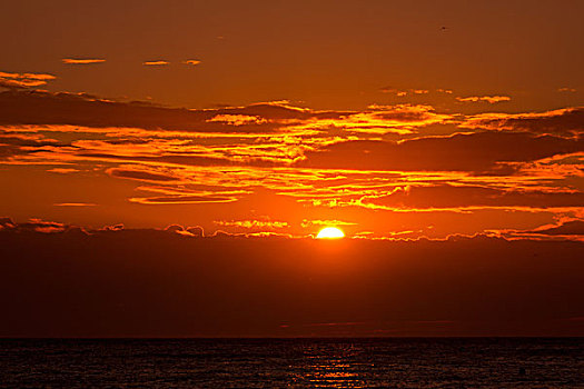 日落,橙色天空,背景,晚间,上方,海洋,云