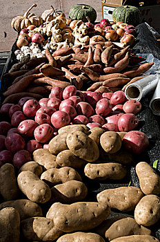 甘薯,加利福尼亚,农民,市场