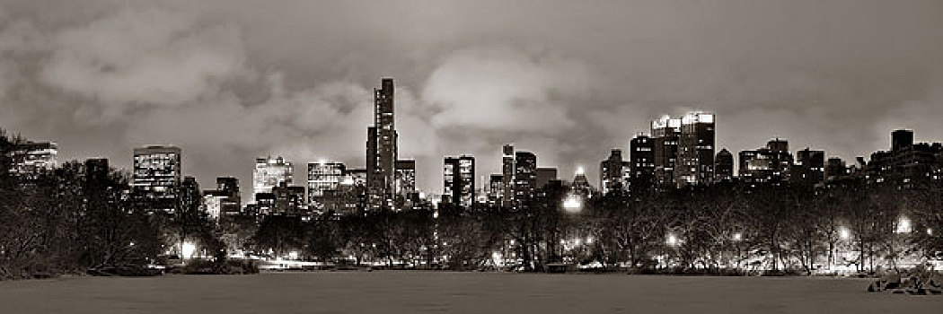 中央公园,冬天,夜晚,全景,摩天大楼,曼哈顿中城,纽约