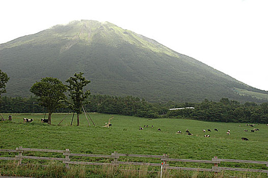 山,草场