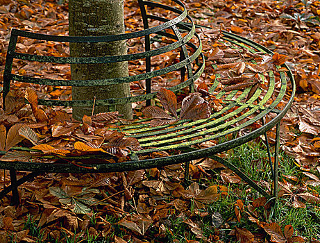 锻铁,长椅,树干,地面,遮盖,叶子