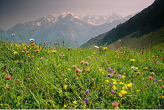 勃朗峰,山丘,法国阿尔卑斯山,法国