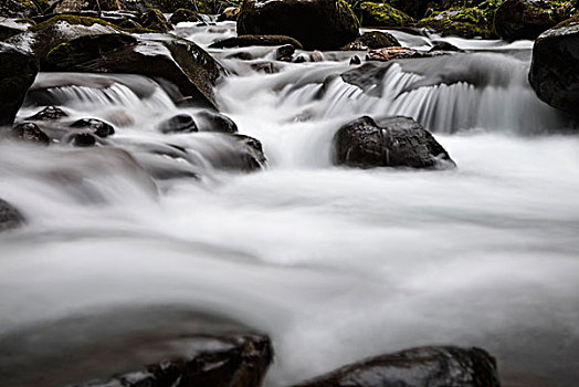 倒出,水,溪流,床