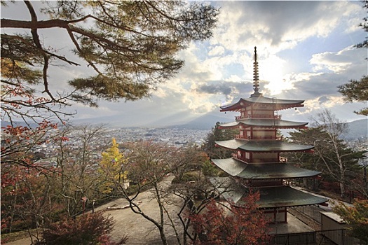 山,富士山,秋色,日本