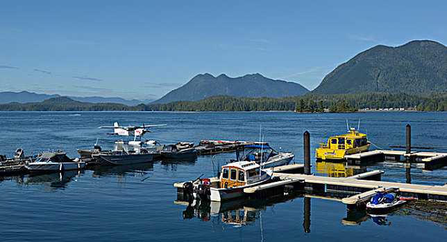加拿大,不列颠哥伦比亚省,温哥华岛,小,码头,港口,大幅,尺寸