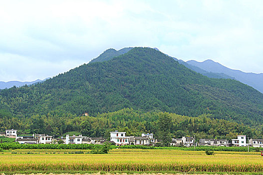 黟县碧山村