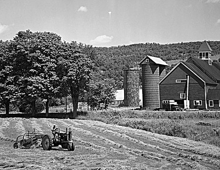 拖拉机,耙,土地,东方,佛蒙特州,美国