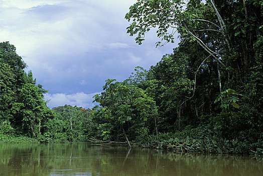 厄瓜多尔,亚马逊盆地,靠近,雨林,河