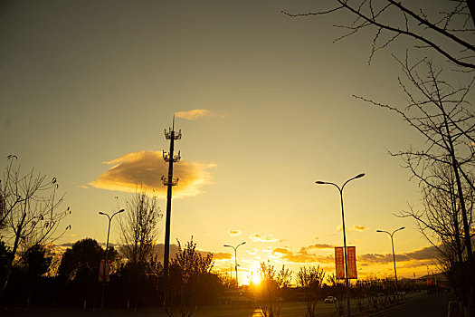 傍晚,黄昏,逆光,太阳,云,夕阳,路灯,剪影,树林,树荫,城市,市区,天边