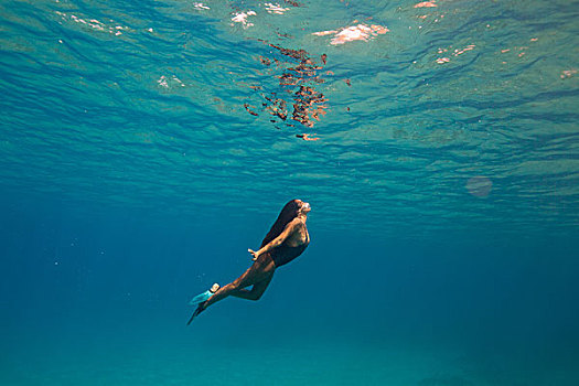 女人,游泳,水下,瓦胡岛,夏威夷,美国