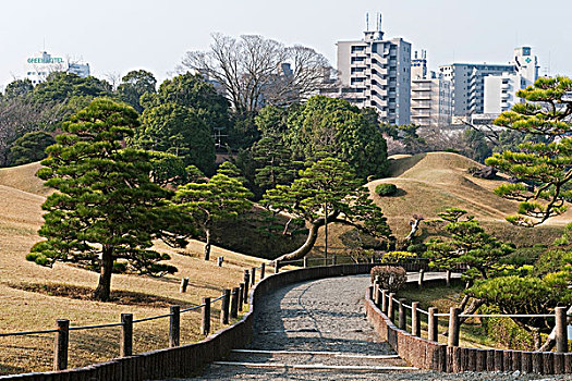 17世纪,花园,绿洲,现代,城市,熊本,日本