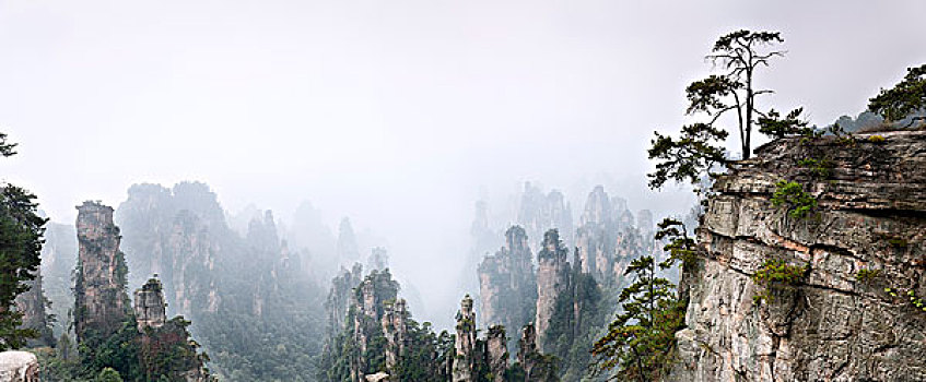 雾状,山景,风景,张家界,国家森林,公园,湖南,中国,亚洲