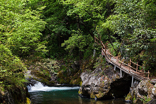 巴山飞渡峡森林公园