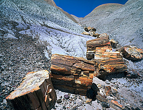 石化森林国家公园,亚利桑那,美国,木化石,化石,树干,蓝色背景,方山