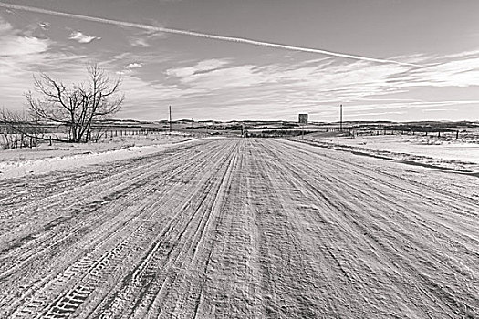 雪,背影,道路