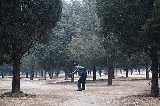 中国,北京,全景,天坛,圜丘,树林,森林,地标,建筑,中年男子,杂技,车铃