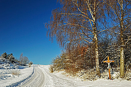 路边,十字架在冬季,附近的,符腾堡,德国