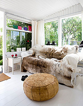 舒适,沙发,毯子,皮革,软躺椅,鲜明,温室