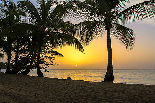 大安的列斯群岛,加勒比,多米尼加共和国,萨玛纳,落日,海滩,干盐湖