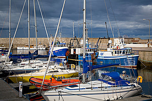 船,小,港口,海鳗,苏格兰