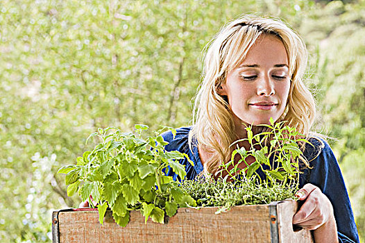 女人,板条箱,植物