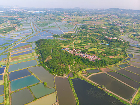 湖北大冶保安湖国家湿地公园航拍风光