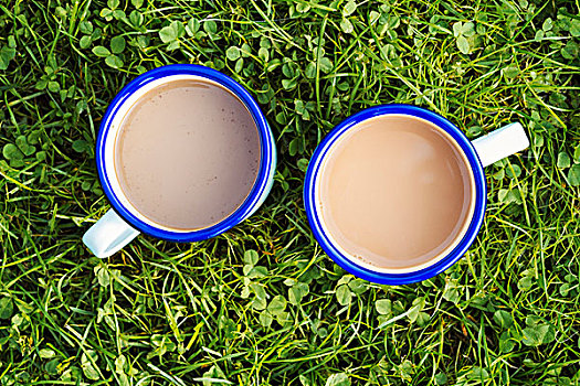 俯拍,两个,大杯,茶,草坪