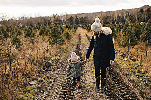 母亲,婴儿,女孩,圣诞树园,安大略省,加拿大