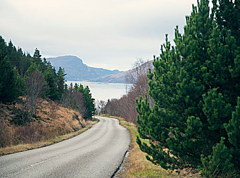 乡村道路,苏格兰,英国