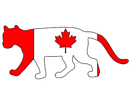 美洲狮,加拿大