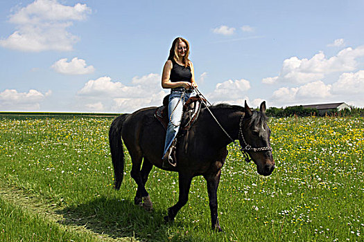 女青年,骑,骑马,巴伐利亚,德国,欧洲
