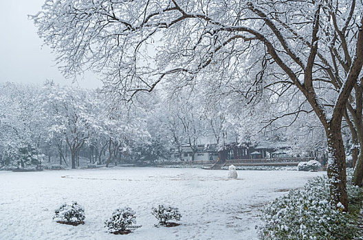 武汉冬日雪景风光