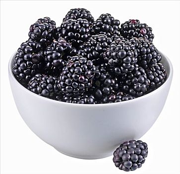 黑莓,白色,碗