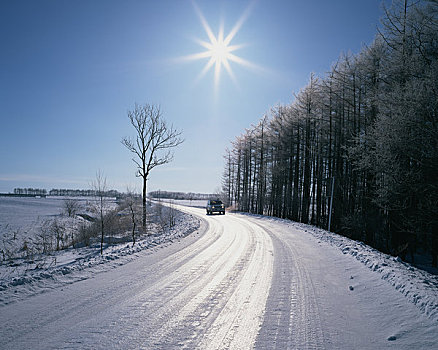 冷冻,道路