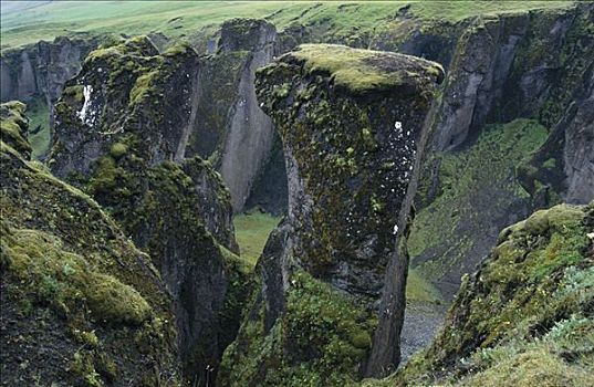 峡谷,南方,海岸,靠近,石头,火山岩,遮盖,苔藓,正面,冰岛,欧洲
