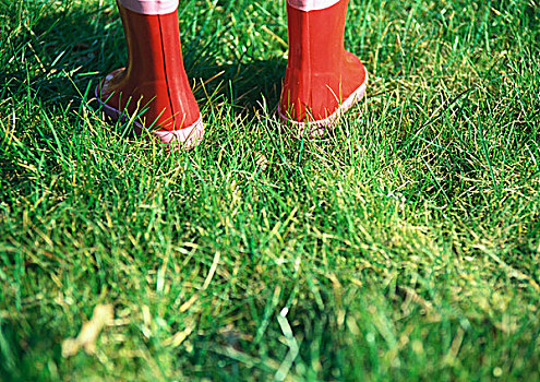 胶靴,草地,后视图