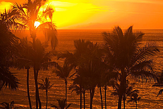 日落,海滩,夏威夷