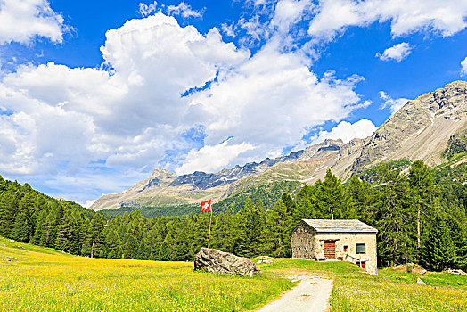小屋,瑞士,旗帜,草原,博斯齐亚格