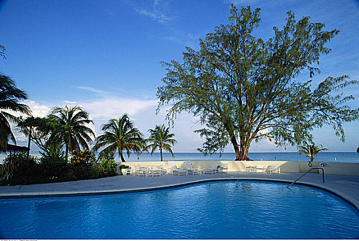 游泳池,胜地,七英里海滩,大开曼岛,开曼群岛