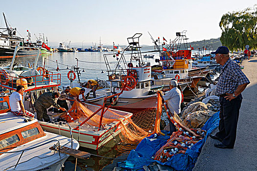 渔港,黑海,省,区域,土耳其,亚洲
