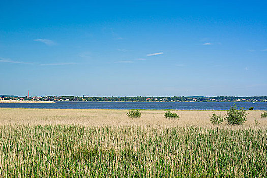 海边风景,草,水,夏天