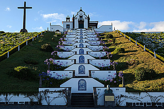 草原,岛屿,亚速尔群岛,葡萄牙,欧洲