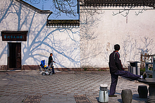 太极馆,建筑,树木,阳光