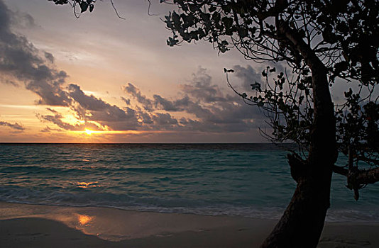 马尔代夫,南,阿里环礁,海滩,日落,岛屿