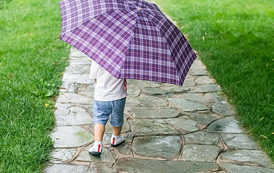 雨,散步,幼儿,背影