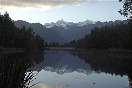 湖,反射,库克山,靠近,狐狸,乡村,新西兰
