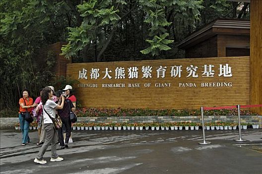 入口,熊猫,饲养,车站,靠近,成都,中国,亚洲